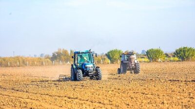Didim Belediyesi, tarımsal üretimi desteklemek ve yerel kalkınmayı güçlendirmek amacıyla
