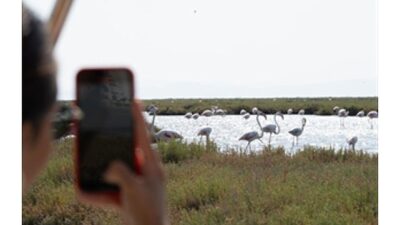 İzmir Büyükşehir Belediyesi’nin deniz ulaşım şirketi İZDENİZ, Bergama Vapuru ile