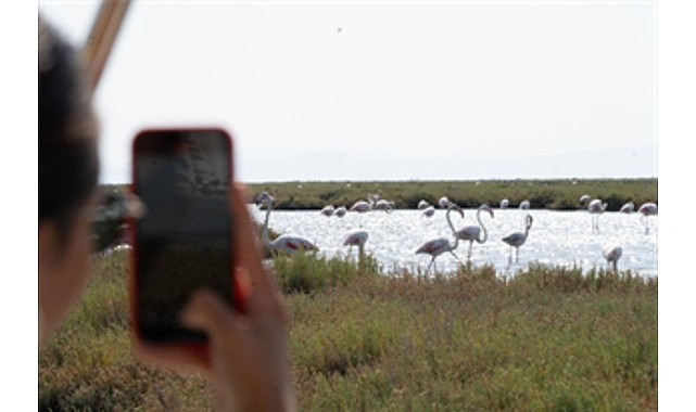 İzmir Büyükşehir Belediyesi’nin deniz ulaşım şirketi İZDENİZ, Bergama Vapuru ile