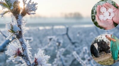 Tarım ve Orman Bakanı İbrahim Yumaklı, TARSİM’in hasar tazminatı ödemeleriyle