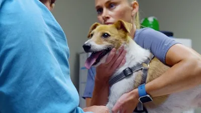 Veteriner çift Ben ve Erin ile oğulları Chase ve Charlie’den