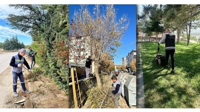 Kahramankazan Belediyesi Park ve Bahçeler Müdürlüğü ekipleri, ilçenin dört bir