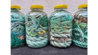 İstanbul Bilgi Üniversitesi Sanat ve Kültür Yönetimi Bölümü Dr. Öğr.