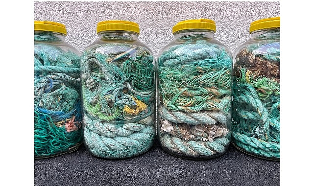 İstanbul Bilgi Üniversitesi Sanat ve Kültür Yönetimi Bölümü Dr. Öğr.