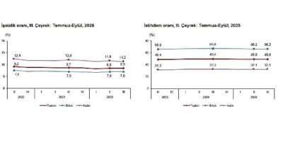 Mevsim etkisinden arındırılmış işsizlik oranı %8,5 seviyesinde gerçekleşti