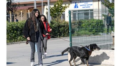 İzmir Büyükşehir Belediyesi, önceki gün Menemen’de çıkan yangından kurtarılan köpek