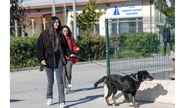İzmir Büyükşehir Belediyesi, önceki gün Menemen’de çıkan yangından kurtarılan köpek