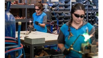 İzmir Büyükşehir Belediyesi Kadın Çalışmaları Şube Müdürlüğü, kadınların kentte karşılaştığı