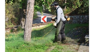 Kartepe Belediyesi Park ve Bahçeler Müdürlüğü ekipleri, ilçe genelindeki ağaçlarda