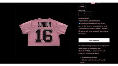 Dünya çapında ünlü K-pop grubu BlackPink’in turnesi sürerken, siber suçlular