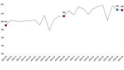 Tavuk eti üretimi 228 bin 846 ton, tavuk yumurtası üretimi