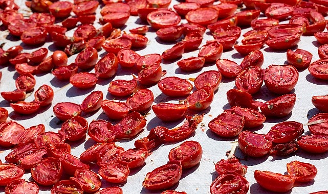 Anadolu coğrafyasının bereketli topraklarında yetişen kan kırmızı domatesler, binbir emekle