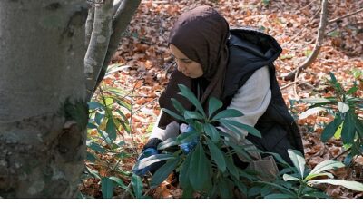 Kocaeli Büyükşehir Belediyesi, doğa ile iç içe keyifli zaman geçirmek