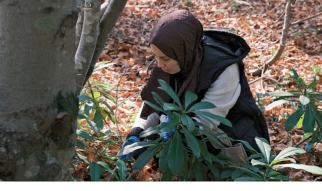 Kocaeli Büyükşehir Belediyesi, doğa ile iç içe keyifli zaman geçirmek