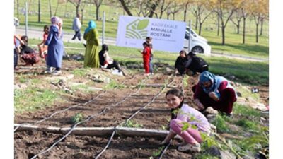 İzmir Büyükşehir Belediyesi’nin kentin dört ayrı noktasında kurduğu mahalle bostanlarında