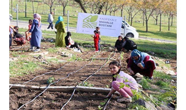 İzmir Büyükşehir Belediyesi’nin kentin dört ayrı noktasında kurduğu mahalle bostanlarında