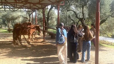 Narlıdere Belediyesi, kadınlara, çocuklara ve özel gereksinimli bireylere yönelik sosyal