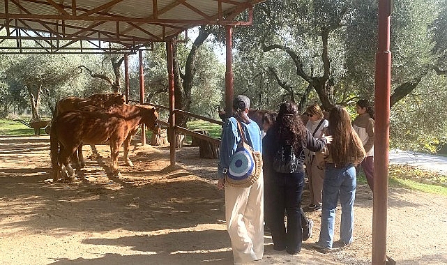 Narlıdere Belediyesi, kadınlara, çocuklara ve özel gereksinimli bireylere yönelik sosyal