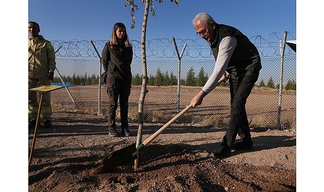 Türkiye, 11 Kasım Milli Ağaçlandırma Günü kapsamında bu yıl da doğa seferberliğinde