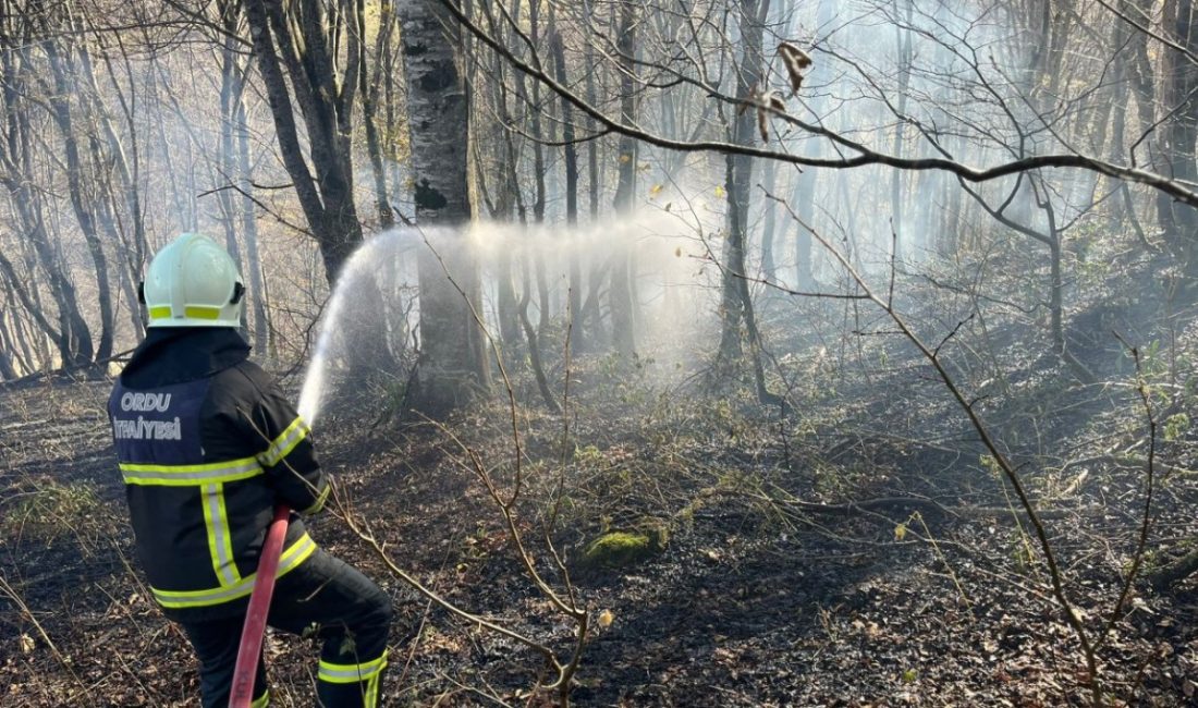 Ordu genelinde hava sıcaklıklarının mevsim normallerinin üzerine çıkmasıyla birlikte tarla,