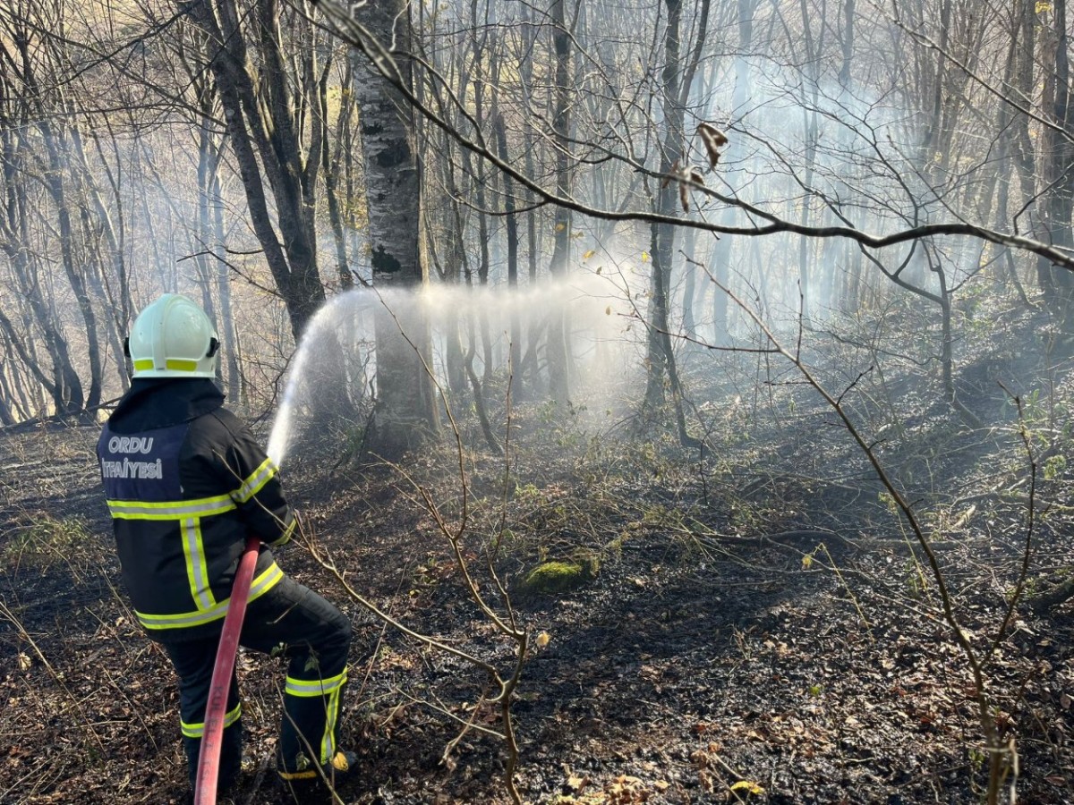 Ordu genelinde hava sıcaklıklarının mevsim normallerinin üzerine çıkmasıyla birlikte tarla,