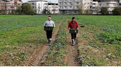 Osmangazi Belediyesi’nin hayata geçirdiği doğal tarım çalışmaları kapsamında tamamen ilaçsız