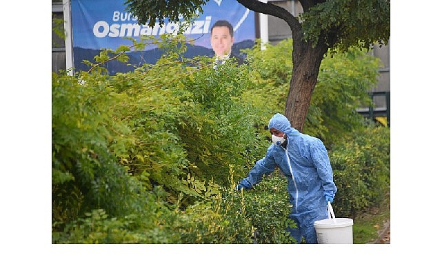 Osmangazi Belediyesi, halk sağlığını tehdit eden kemirgenlerle mücadele kapsamında ilçe