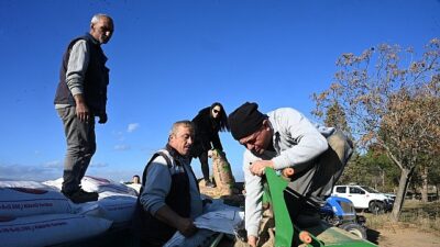 Salihli Belediyesi Kırsal Hizmetler Müdürlüğü, belediyeye ait arazilerde buğday ekimine