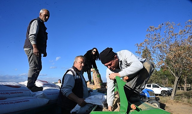 Salihli Belediyesi Kırsal Hizmetler Müdürlüğü, belediyeye ait arazilerde buğday ekimine
