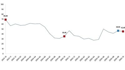 Tarım ürünleri üretici fiyat endeksi (Tarım-ÜFE) yıllık %45,40 arttı, aylık