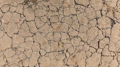 TEMA Vakfı, 17–30 Kasım Erozyonla Mücadele Haftası kapsamında "Toprak Yoksa Su,