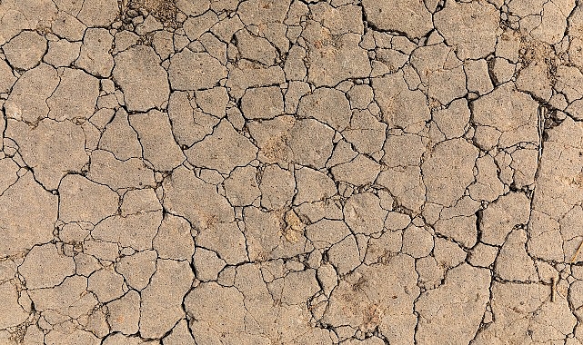 TEMA Vakfı, 17–30 Kasım Erozyonla Mücadele Haftası kapsamında "Toprak Yoksa Su,