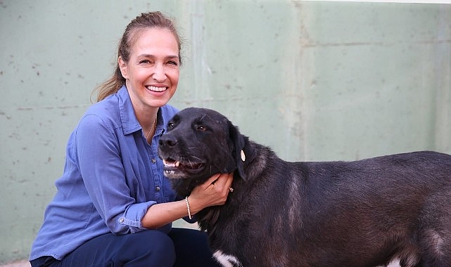 Türkiye'de en fazla veteriner hekim istihdam eden ilçe belediyelerinden biri