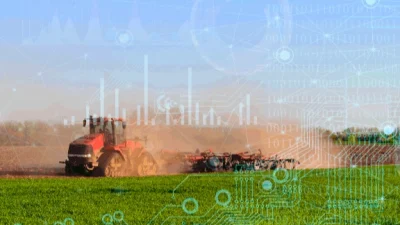 TÜİK'in bugün açıkladığı 2025 yılına ilişkin Bitkisel Üretim İstatistikleri'ne göre