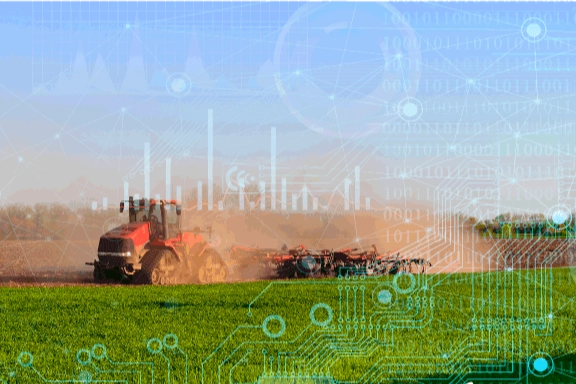 TÜİK'in bugün açıkladığı 2025 yılına ilişkin Bitkisel Üretim İstatistikleri'ne göre