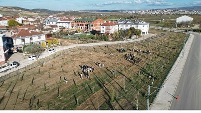 İnegöl Belediyesi Akhisar Mahallesi Akkanal Sokak’ta 2 parçadan oluşan toplam