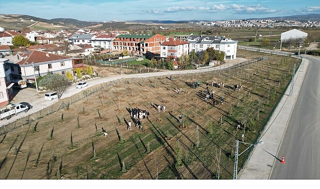 İnegöl Belediyesi Akhisar Mahallesi Akkanal Sokak’ta 2 parçadan oluşan toplam