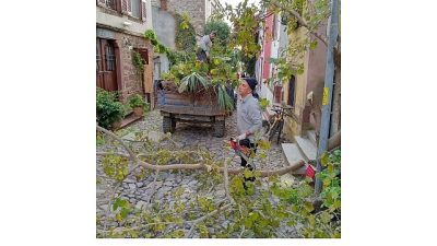 Ayvalık Belediyesi, kent genelinde başlattığı kışa hazırlık çerçevesinde temizlik ve