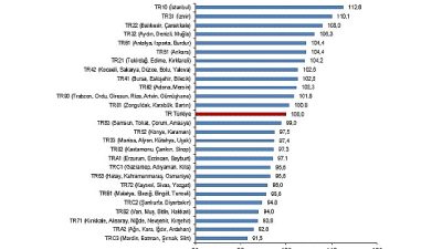 Türkiye'de 2024 yılı fiyat düzeyi endeksi en yüksek bölge TR10