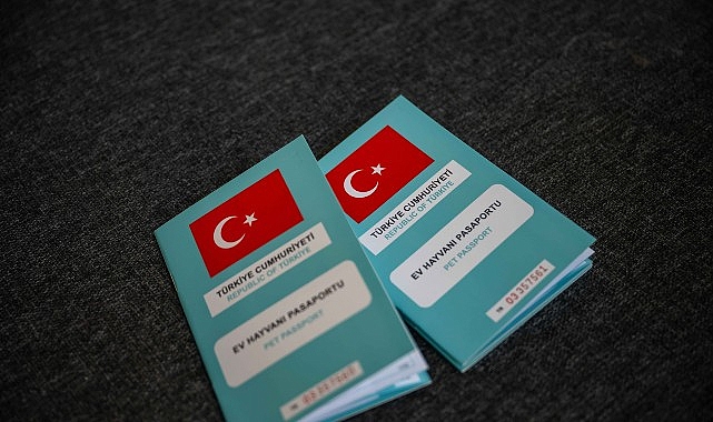 Bornova’da kırsal mahallelerde sahipsiz hayvanların çiplenmesi, kayıt altına alınması ve