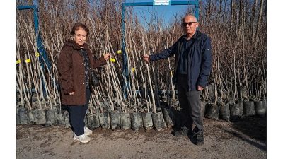 Kocaeli Büyükşehir Belediyesi, “Meyveciliği Geliştirme Projesi” kapsamında başlattığı yüzde 50