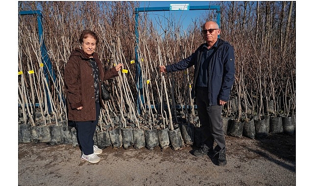 Kocaeli Büyükşehir Belediyesi, “Meyveciliği Geliştirme Projesi” kapsamında başlattığı yüzde 50