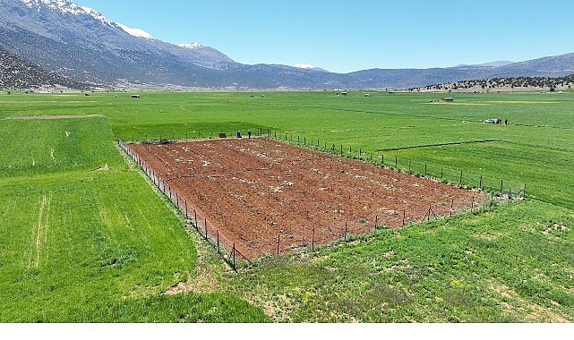 Antalya Büyükşehir Belediyesi yerelden kalkınma hedefleri doğrultusunda çiftçilere tarımsal sulama