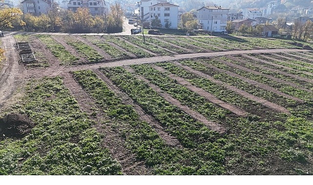 Kocaeli Büyükşehir Belediyesi, 17 Ağustos Mezarlığı’nın dolmasıyla birlikte Gölcük ilçesinde