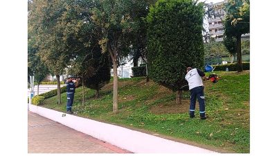 Kocaeli Büyükşehir Belediyesi, kent genelindeki yeşil alanların sağlıklı ve düzenli