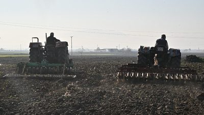 Manisa Büyükşehir Belediyesi tarafından sağlanan yem bitkisi tohumu desteği kapsamında,