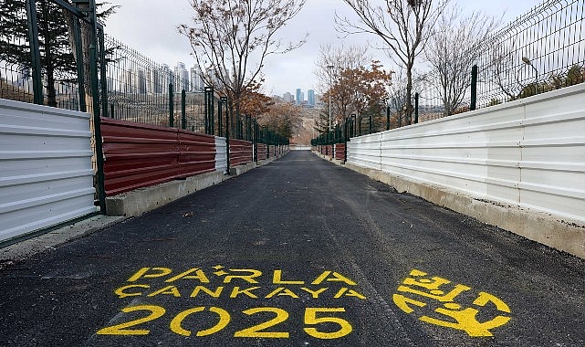 Çankaya Belediyesi Sahipsiz Sokak Hayvanları Bakımevi ve Rehabilitasyon Merkezi'nde 3.