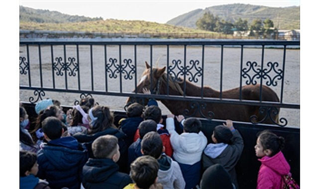 İzmir Büyükşehir Belediyesi tarafından öğrencilere yönelik düzenlenen Pako Sahipsiz Hayvan
