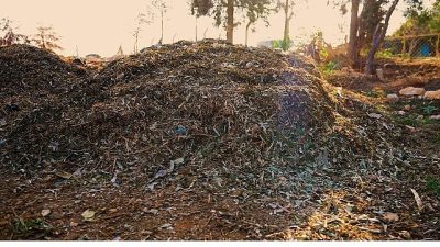 Didim Belediyesi, semt pazarlarında oluşan sebze ve meyve atıklarını komposta