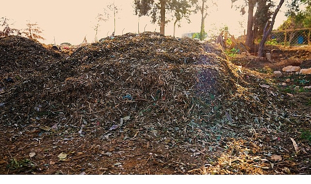 Didim Belediyesi, semt pazarlarında oluşan sebze ve meyve atıklarını komposta